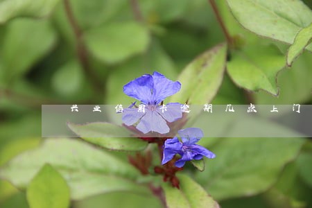 兴业信用卡逾期几点上门