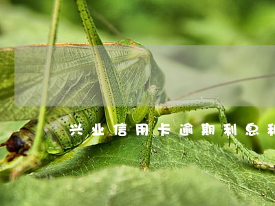 兴业信用卡逾期利息和滞纳金 兴业信用卡逾期利息和滞纳金