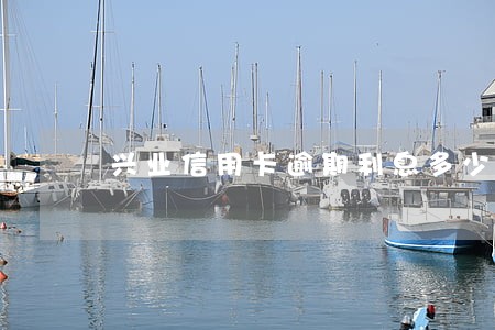 兴业信用卡逾期利息多少 兴业信用卡逾期利息多少