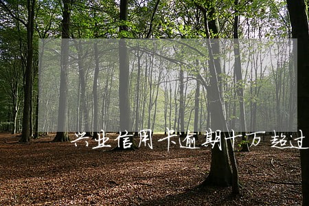 兴业信用卡逾期十万超过三个月 兴业信用卡逾期十万超过三个月