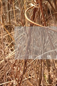 兴业信用卡逾期半年上门