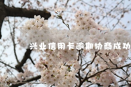 兴业信用卡逾期协商成功流程