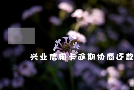 兴业信用卡逾期协商还款 兴业信用卡逾期协商还款