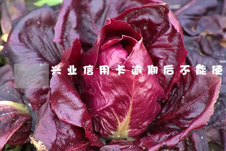 兴业信用卡逾期后不能使用 兴业信用卡逾期后不能使用