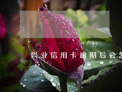 兴业信用卡逾期后会怎样 兴业信用卡逾期后会怎样
