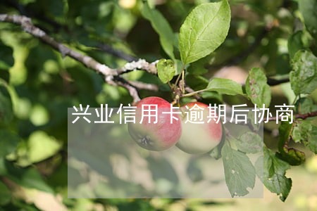 兴业信用卡逾期后协商 兴业信用卡逾期后协商