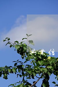 兴业信用卡逾期后果 兴业信用卡逾期后果