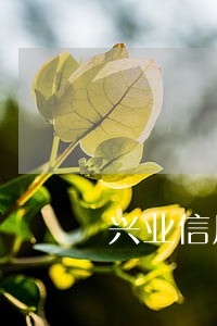 兴业信用卡逾期四天上征信 兴业信用卡逾期四天上征信