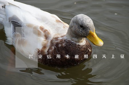 兴业信用卡逾期四天上征信么