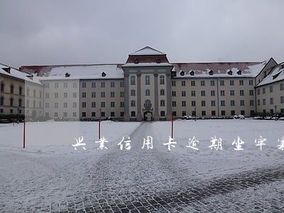 兴业信用卡逾期坐牢案件 兴业信用卡逾期坐牢案件
