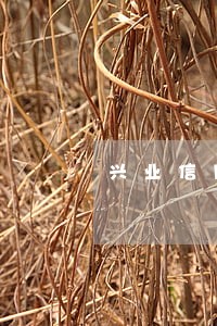 兴业信用卡逾期处理方法 兴业信用卡逾期处理方法