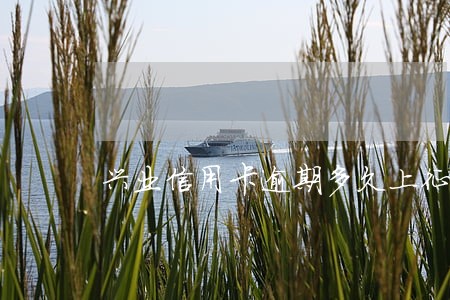 兴业信用卡逾期多久上征信 兴业信用卡逾期多久上征信