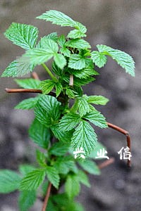 兴业信用卡逾期多久会报案处理 兴业信用卡逾期多久会报案处理