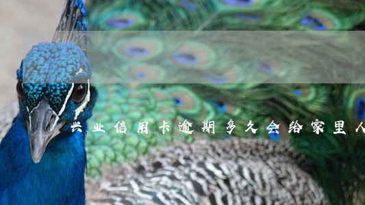 兴业信用卡逾期多久会给家里人打电话 兴业信用卡逾期多久会给家里人打电话