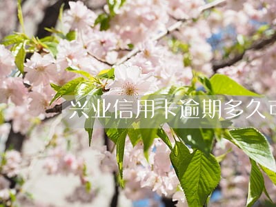兴业信用卡逾期多久可以协商 兴业信用卡逾期多久可以协商