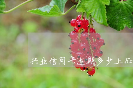 兴业信用卡逾期多少上征信 兴业信用卡逾期多少上征信