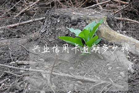 兴业信用卡逾期多少钱