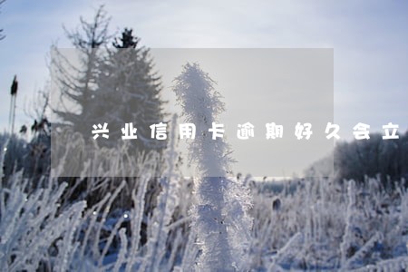 兴业信用卡逾期好久会立案 兴业信用卡逾期好久会立案