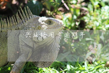 兴业信用卡逾期年