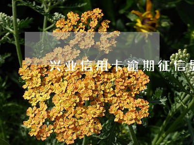 兴业信用卡逾期征信显示 兴业信用卡逾期征信显示