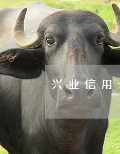 兴业信用卡逾期律师打来电话