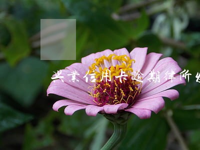 兴业信用卡逾期律所发来短信