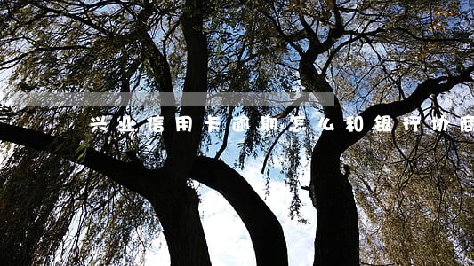 兴业信用卡逾期怎么和银行协商