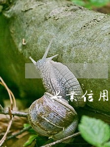 兴业信用卡逾期打联系人吗 兴业信用卡逾期打联系人吗