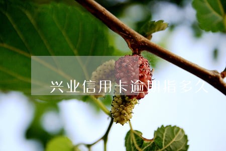 兴业信用卡逾期指多久