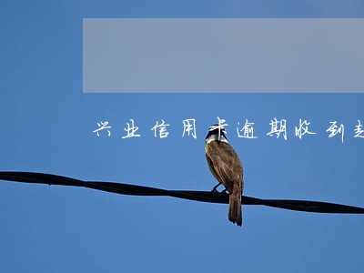 兴业信用卡逾期收到起诉短信 兴业信用卡逾期收到起诉短信