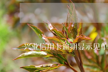 兴业信用卡逾期显示见单即付 兴业信用卡逾期显示见单即付