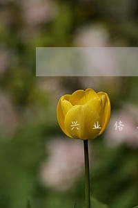 兴业信用卡逾期未还款 兴业信用卡逾期未还款