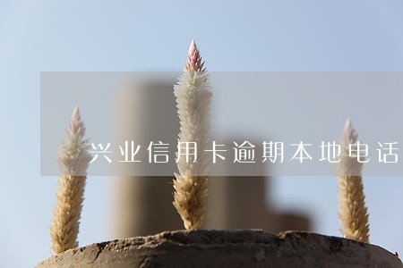 兴业信用卡逾期本地电话说上门 兴业信用卡逾期本地电话说上门