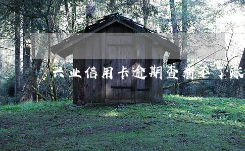 兴业信用卡逾期查看不了账单