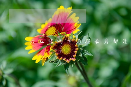 兴业信用卡逾期每月都还1500