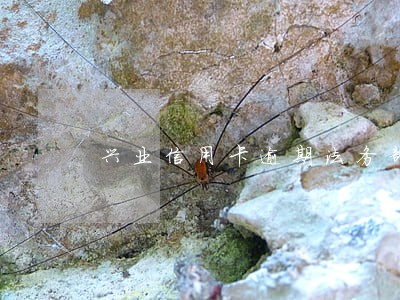 兴业信用卡逾期法务部说上门 兴业信用卡逾期法务部说上门