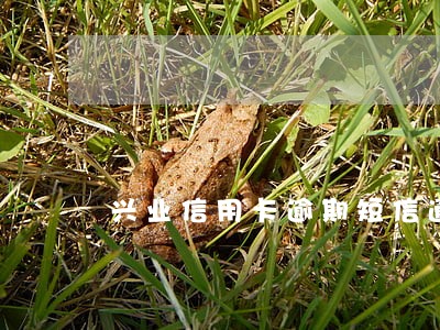 兴业信用卡逾期短信通知 兴业信用卡逾期短信通知