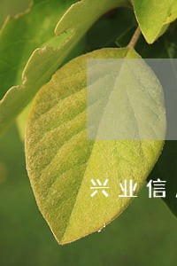兴业信用卡逾期移交派出所