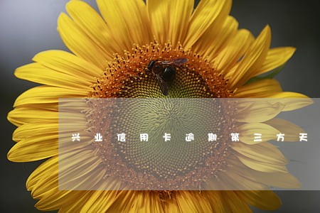兴业信用卡逾期第三方天天打电话