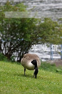 兴业信用卡逾期签收材料 兴业信用卡逾期签收材料