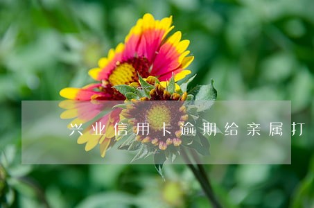兴业信用卡逾期给亲属打电话 兴业信用卡逾期给亲属打电话