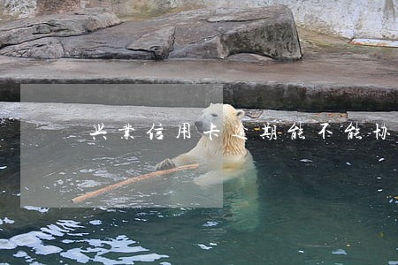兴业信用卡逾期能不能协商 兴业信用卡逾期能不能协商