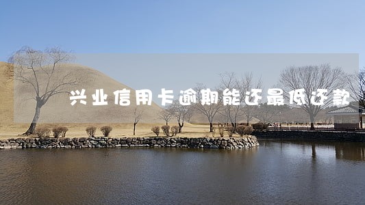 兴业信用卡逾期能还最低还款
