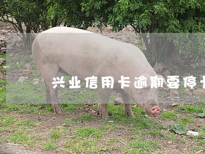 兴业信用卡逾期要停卡 兴业信用卡逾期要停卡
