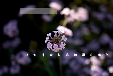兴业信用卡逾期要立案怎么办 兴业信用卡逾期要立案怎么办