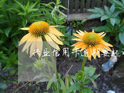兴业信用卡逾期要起诉我 兴业信用卡逾期要起诉我