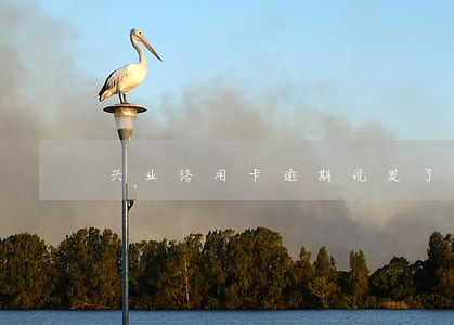 兴业信用卡逾期说发了传票
