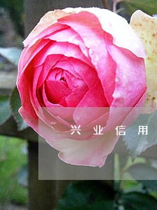 兴业信用卡逾期说要法院起诉 兴业信用卡逾期说要法院起诉