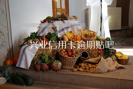 兴业信用卡逾期贴吧 兴业信用卡逾期贴吧