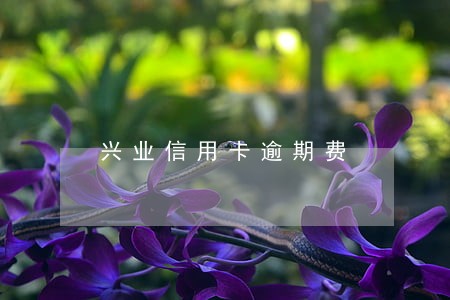 兴业信用卡逾期费 兴业信用卡逾期费